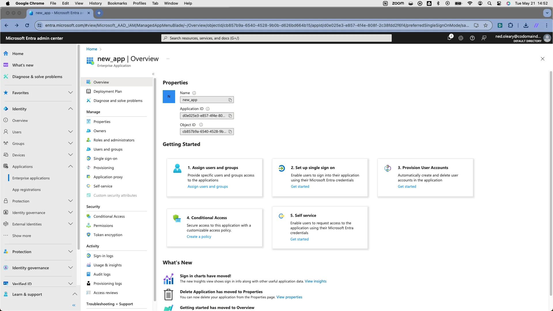 Overview page of the newly created Entra application