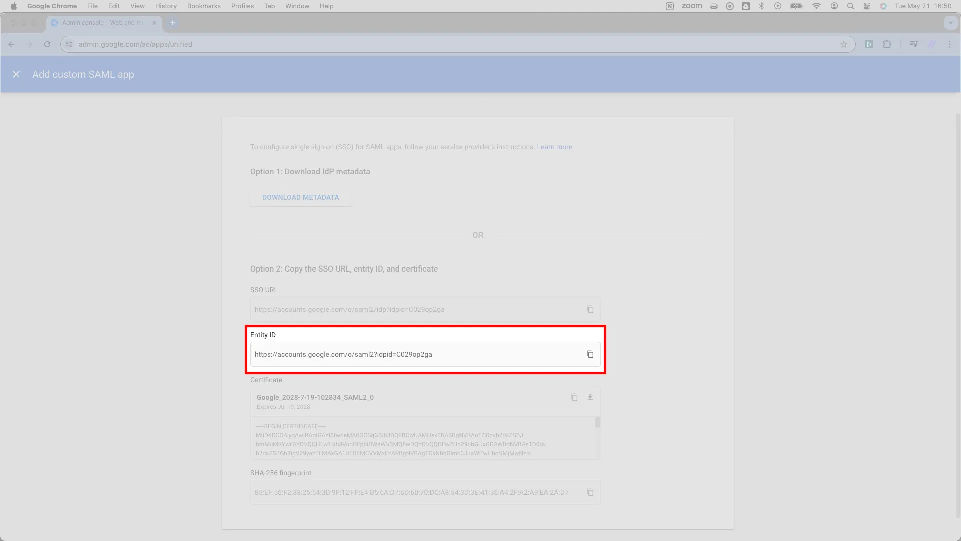 Google IdP details page with the Entity ID field